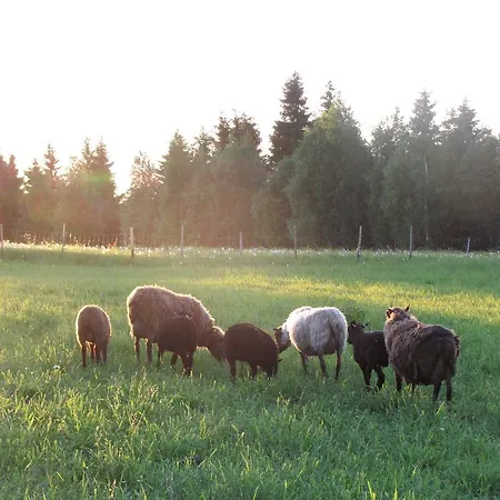 Feriegård Puustilan Maisematila *